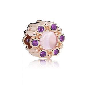 Pandora Charm-Heraldic Radiance-Rose-Pink-Purple Crystals
