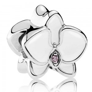 Pandora Bracelet-Elegant Orchid Floral Complete-Leather