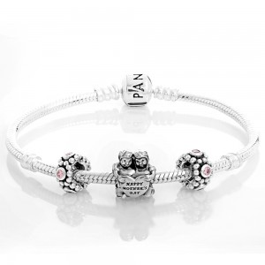 Pandora Bracelet-Dear Mother Family Complete-Silver