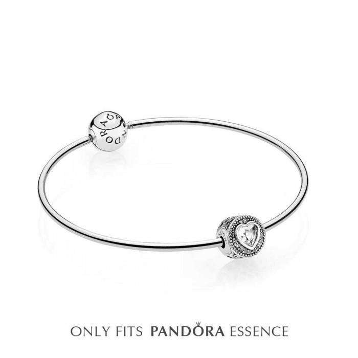 Pandora Bracelet-Silver Passion Bangle Love Complete