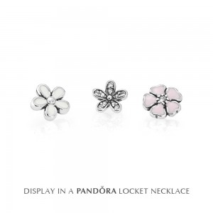 Pandora Necklace-Poetic Blooms Petite Memories Floral Locket-CZ